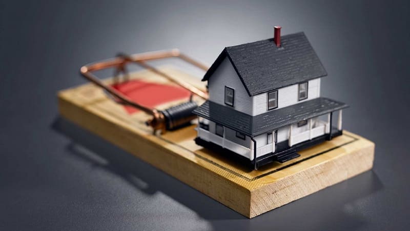 Зачем покупателю риэлтер Фото (с) ndv.ru