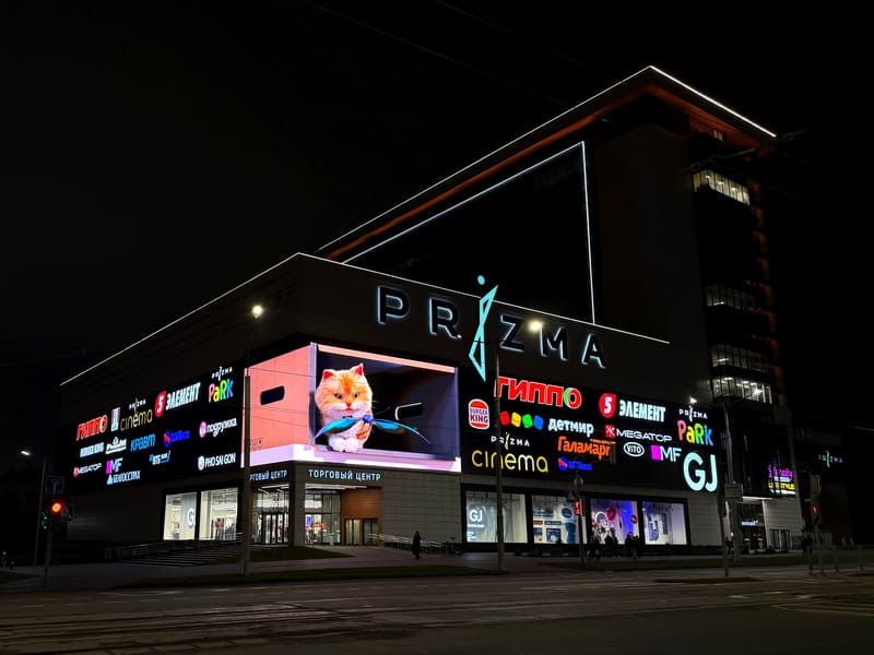3D-экран в ТРЦ Prizma. Котик и бабочка