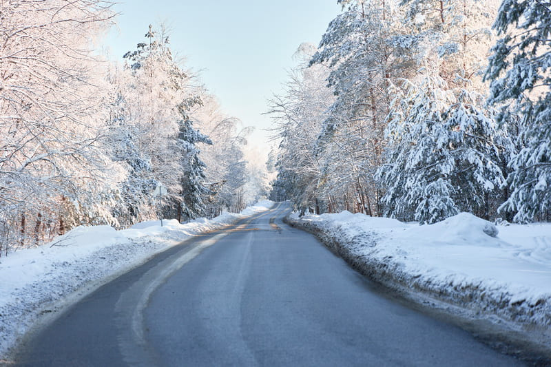 Бесплатная Лыжня в Зелёной Гавани 4