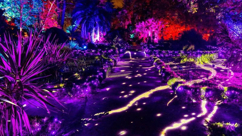 Рождественские огни в Королевском ботаническом саду в Мадриде 2025