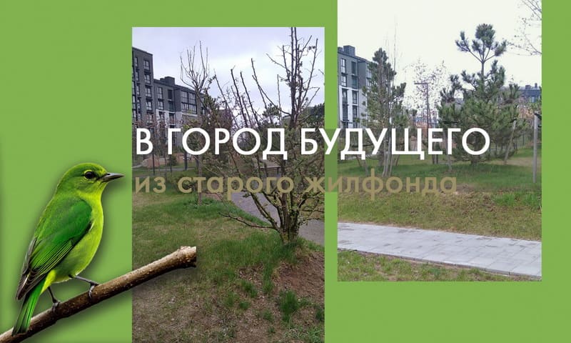 Зелёная гавань - обмен на старую квартиру