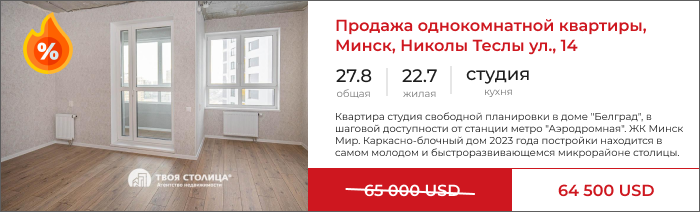 Однокомнатная квартира в Минск-Мире, улица Николая Теслы 14