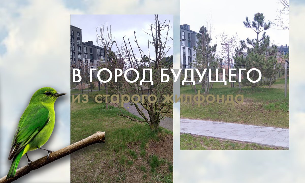 В город будущего