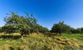 Фото объекта 18