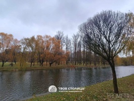 Фото объекта 12