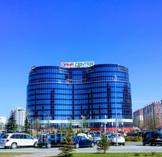  БЦ "Dana Center" - фото 