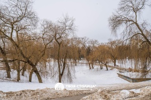 Фото объекта 19