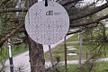 4-комнатная 109.2