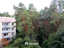 Фото объекта 5