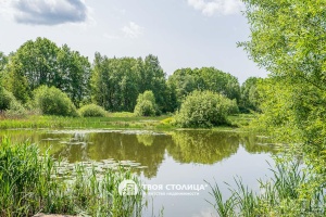 Фото объекта 23