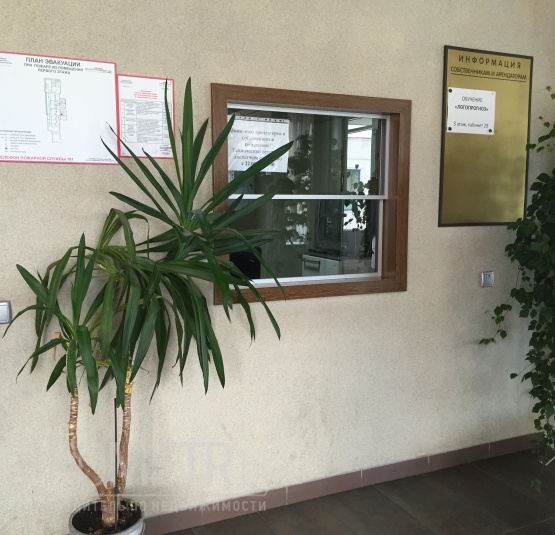  ТАЦ "Георгиевский" - фото 4