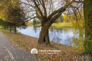 Фото объекта 20