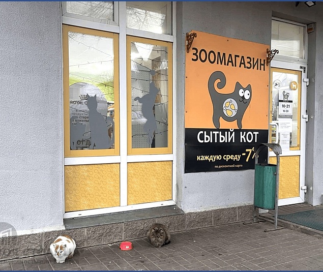  Продажа помещения Минск, Бумажкова ул., 37 - фото 2