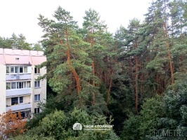 Фото объекта 5