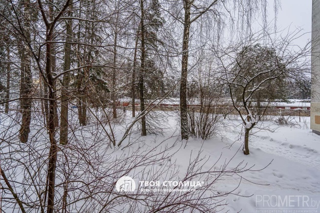 Фото объекта 24