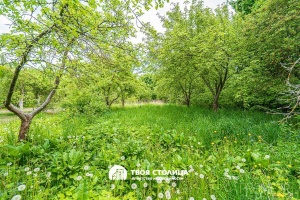 Фото объекта 17