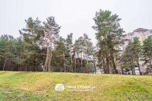 Фото объекта 24