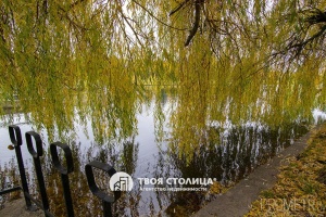 Фото объекта 19