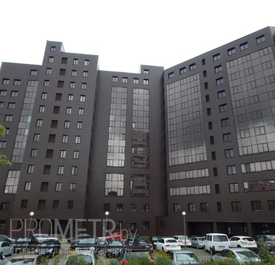  БЦ "Домашевский" - фото 1