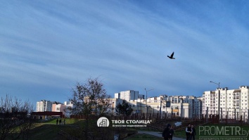 Фото объекта 18