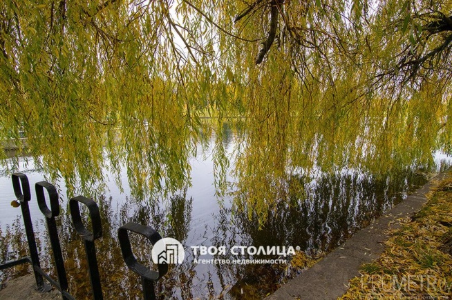 Фото объекта 21