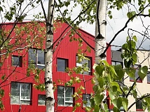 Детский садик "Птичий дом": обживаем Зелёную гавань