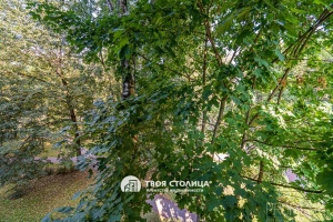 Фото объекта 7