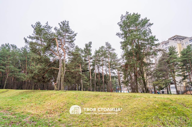 Фото объекта 24