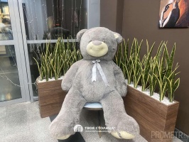 Фото объекта 12